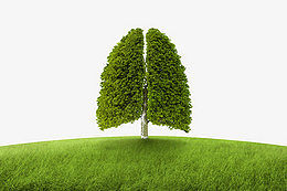 醫用分子篩制氧機的原理是什么，有哪些特點？